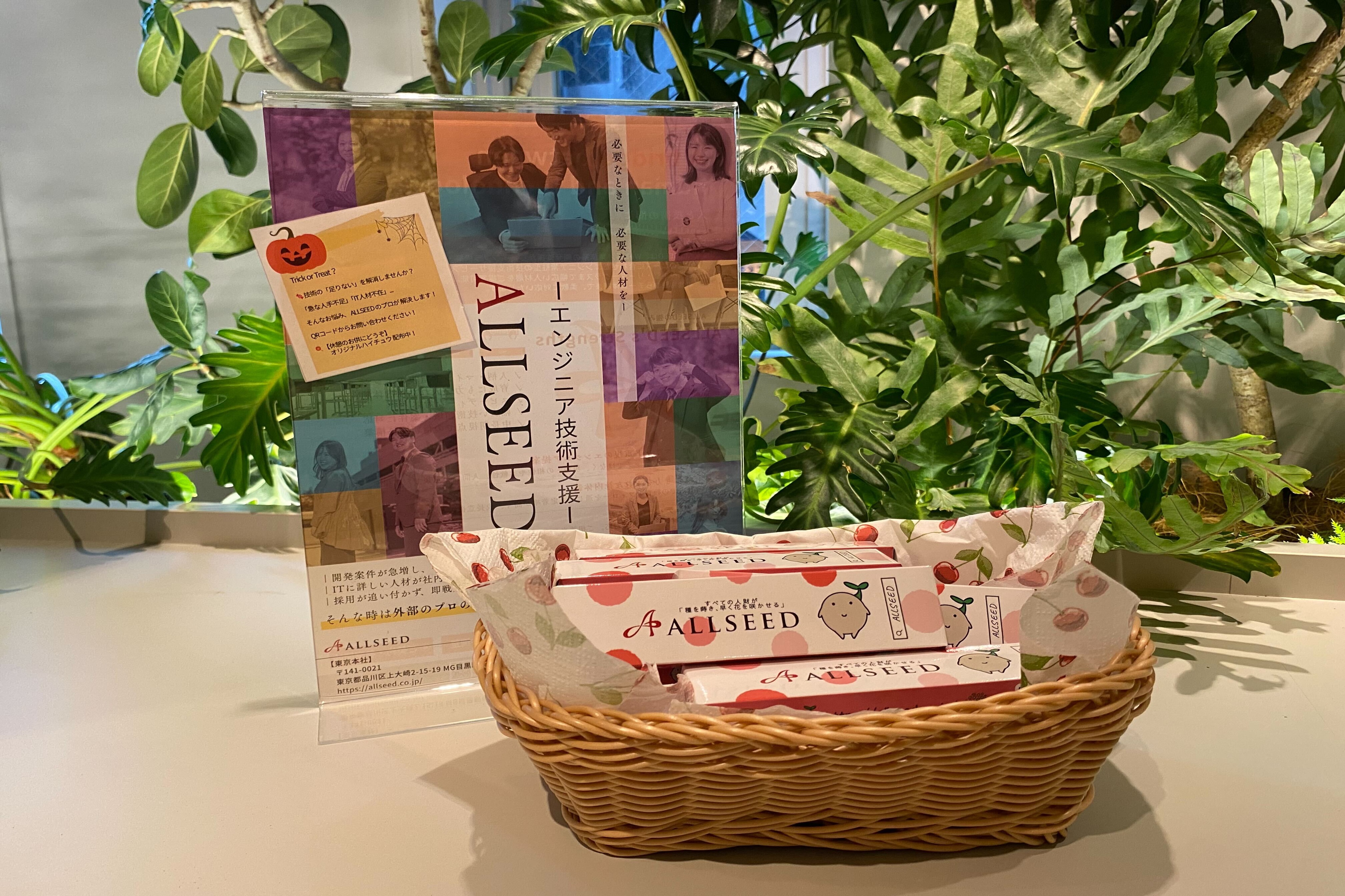 【Business Information#2】A Special Gift from a Member