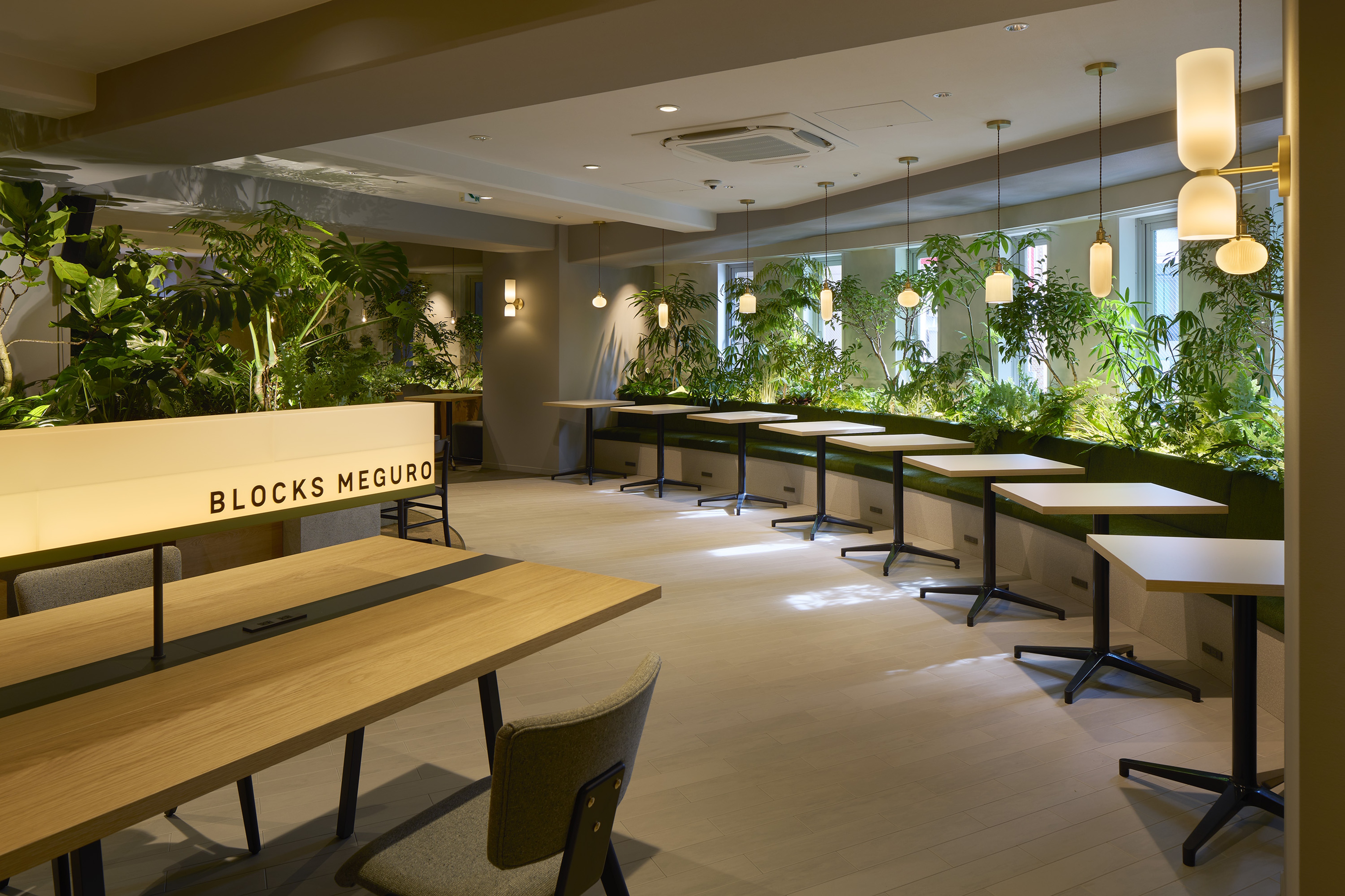 【期間限定】∼Winter Campaign∼