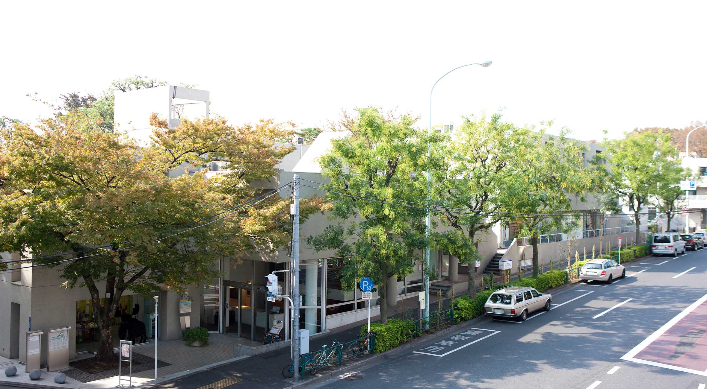 代官山エリア