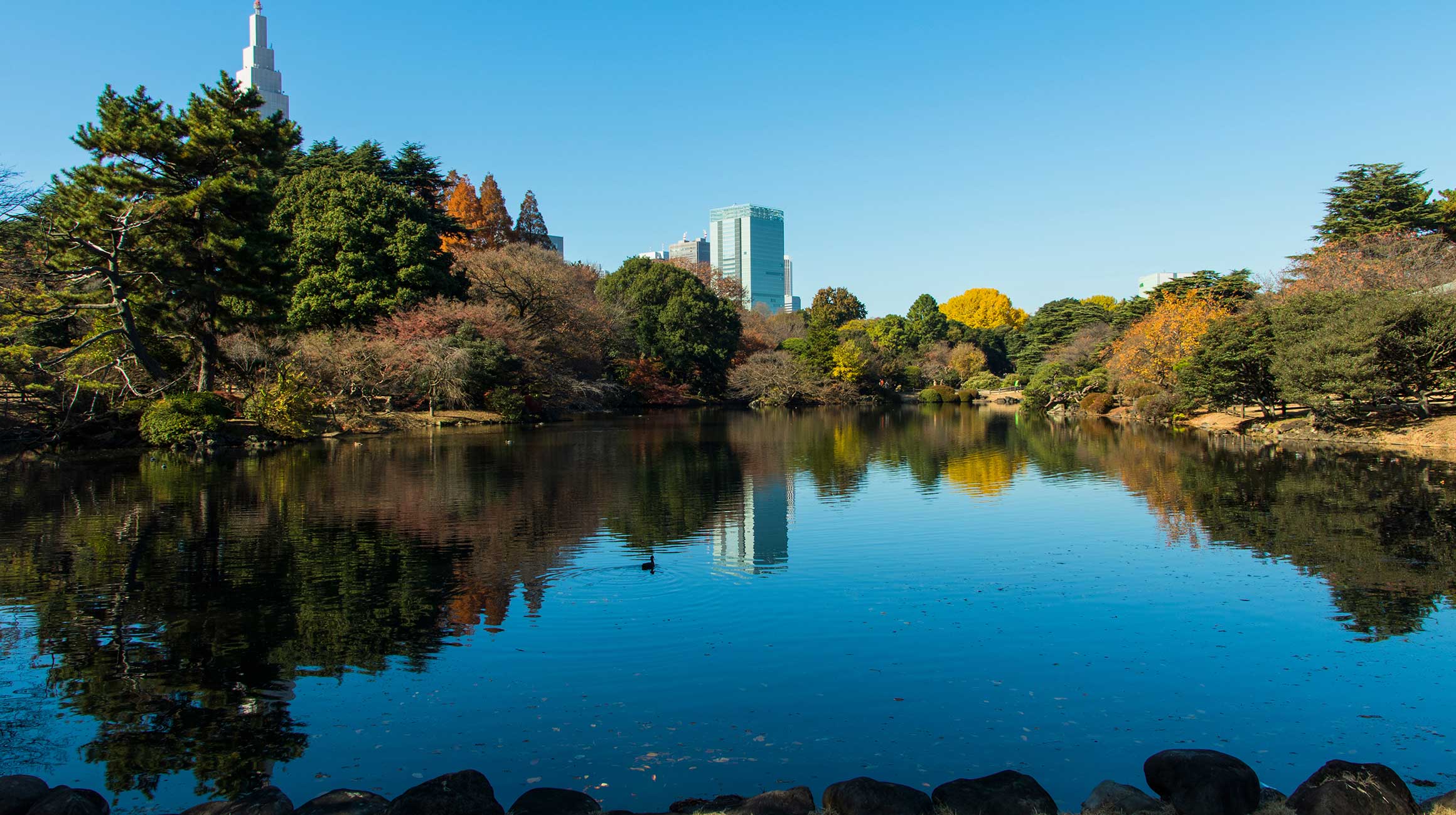 新宿御苑