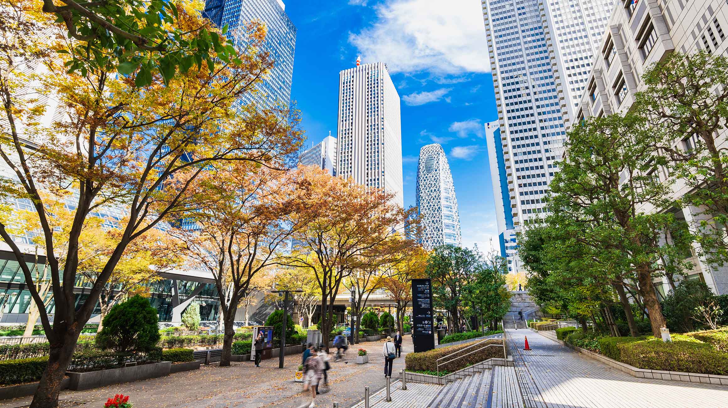 新宿駅周辺