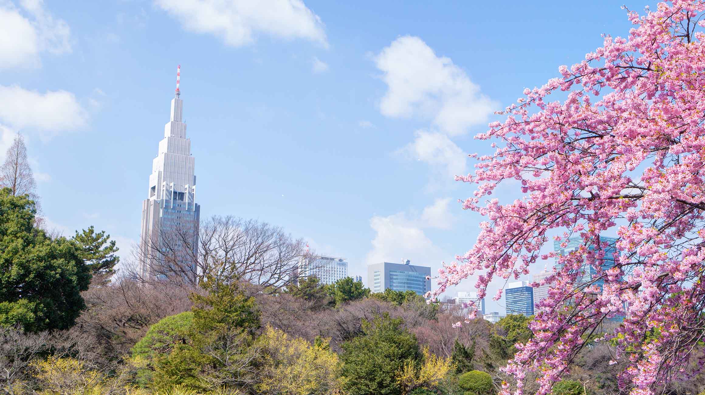 新宿御苑