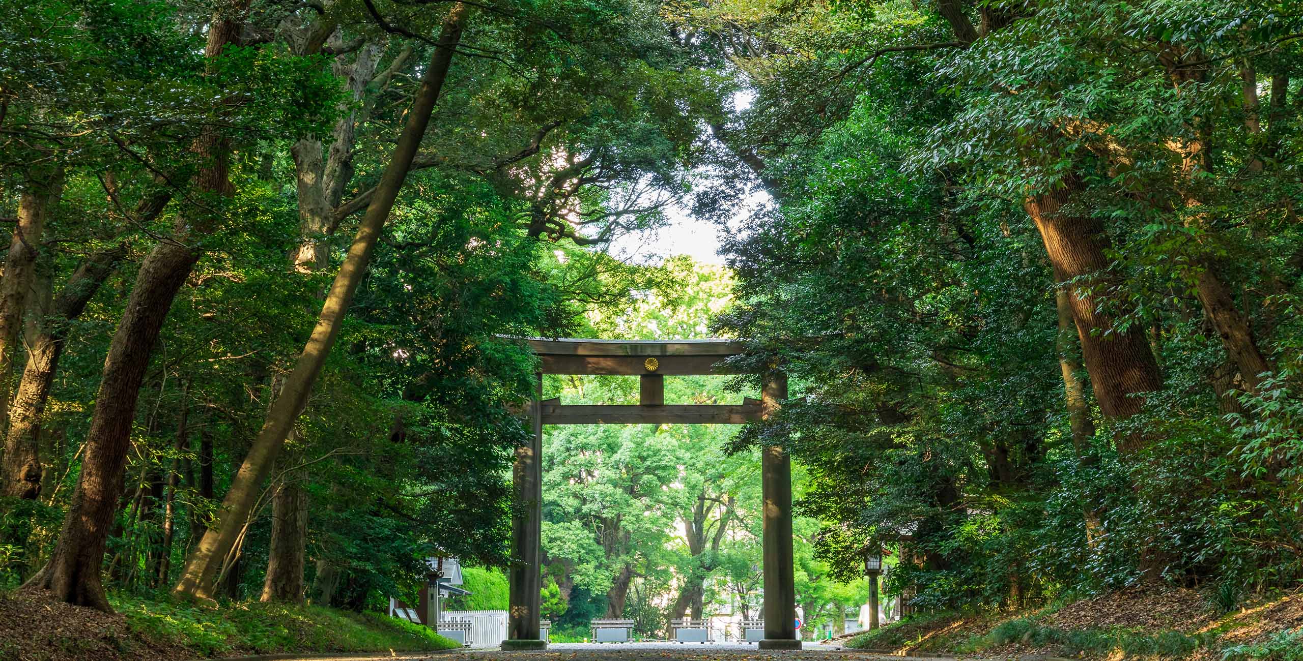 代々木周辺